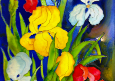 Iris en beauté